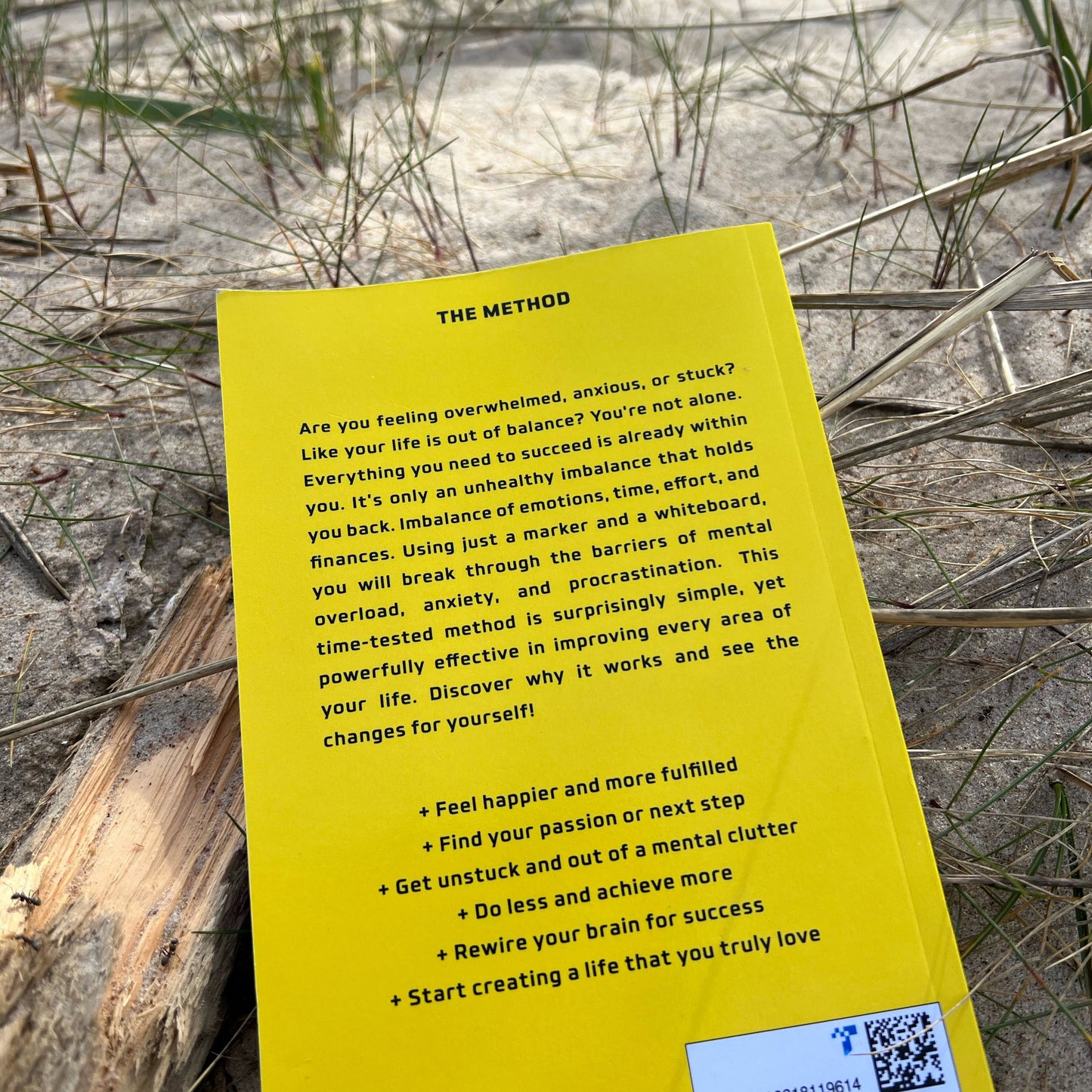 Pokyčių knyga "Metodas". Elektroninė versija - Ganapati