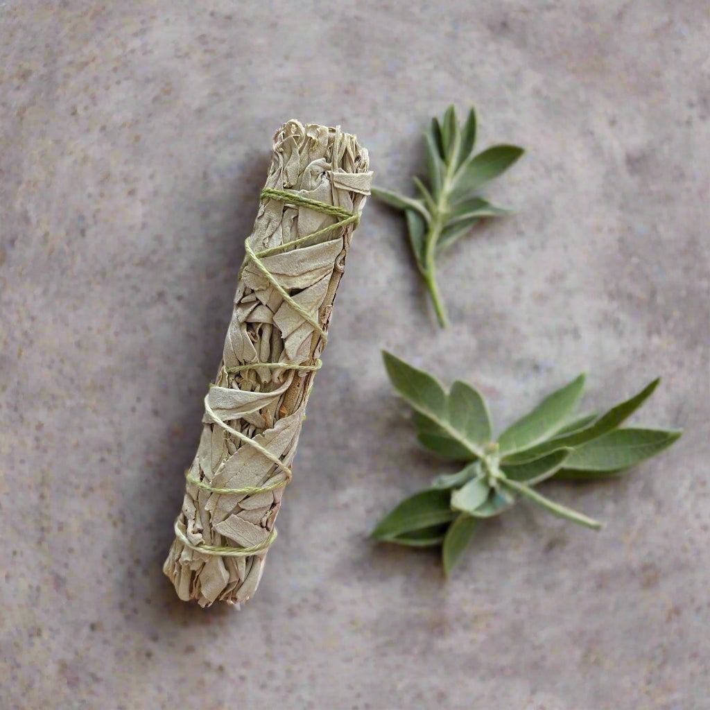 Baltasis šalavijas iš Kalifornijos – neigiamos energijos valymui ir apsaugai - Ganapati