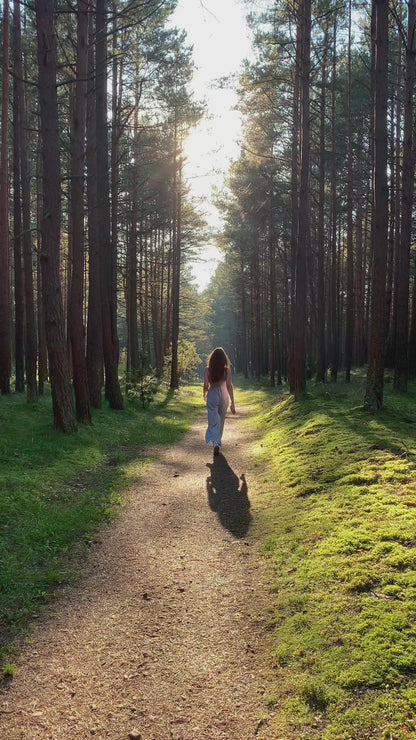 Meditacija "Zen miškas"